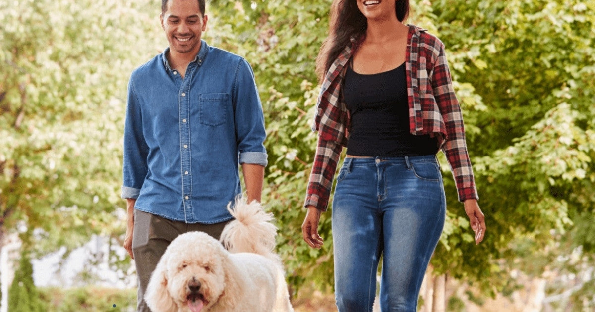 6 Surprising Benefits Of Taking a Daily Walk