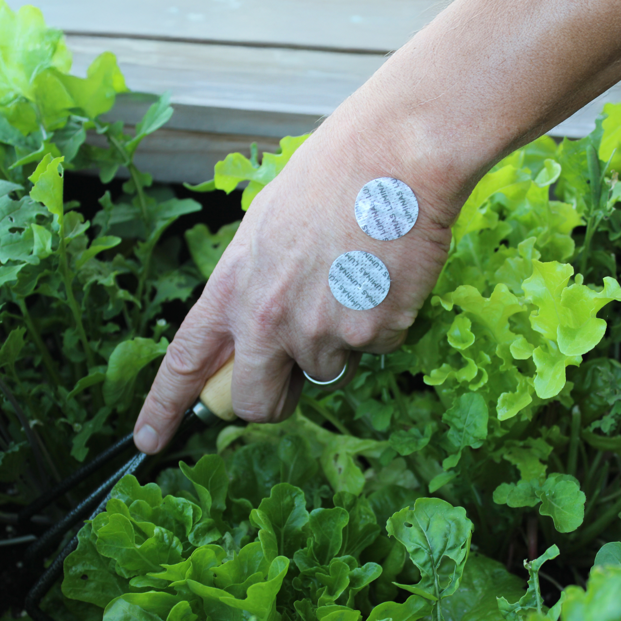 Pain relief round patches image 4