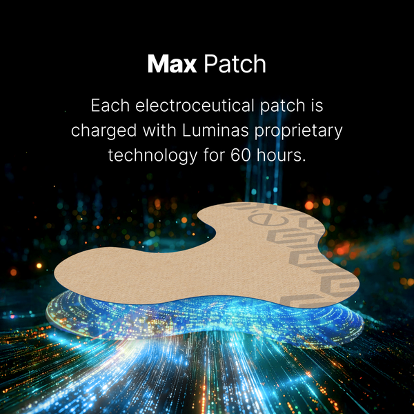 Max Patch – LUMINAS Energy